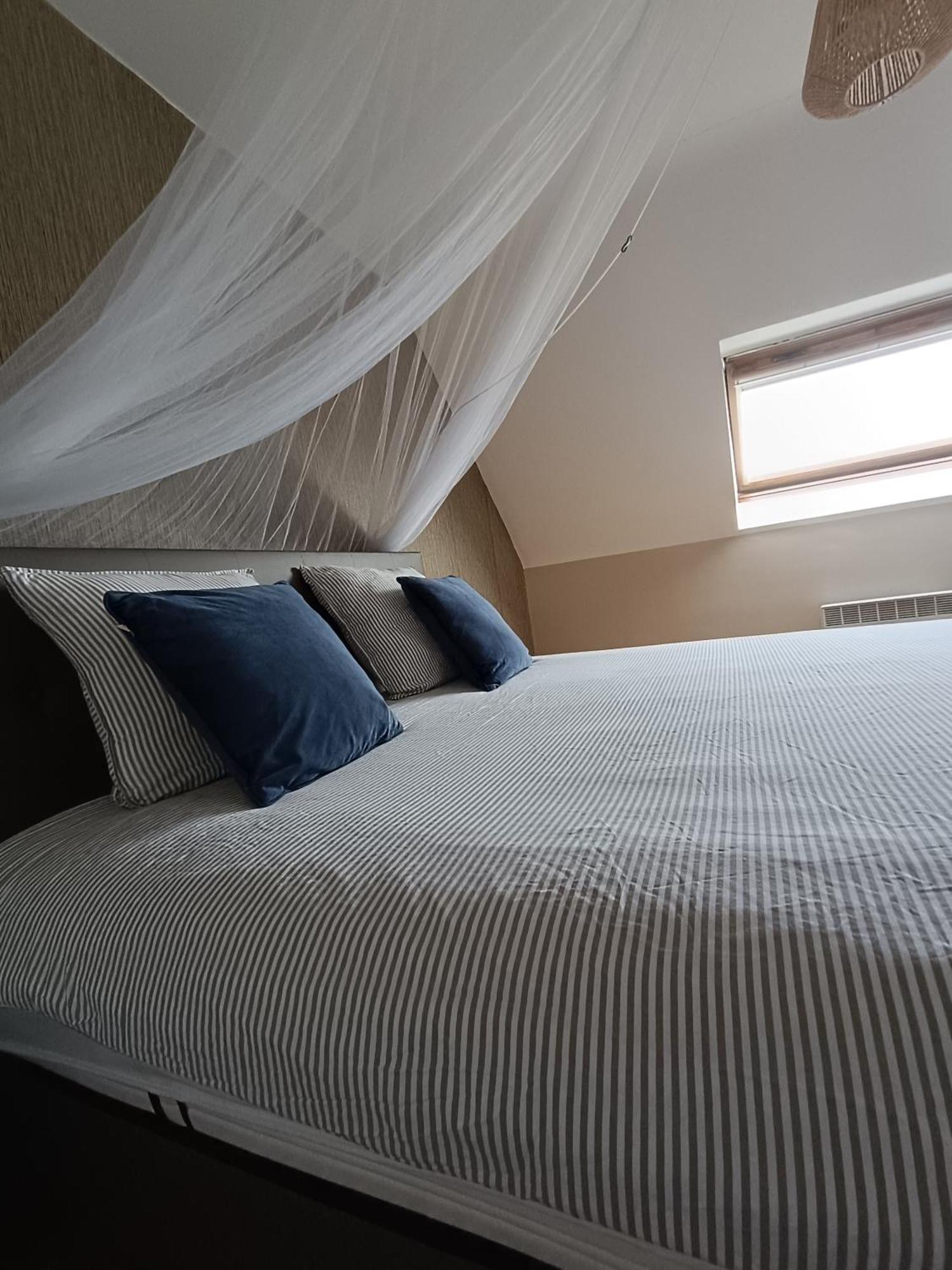 خنت Villazzo المظهر الخارجي الصورة